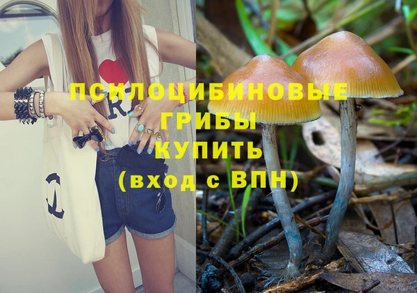 соль курить ск Алексин