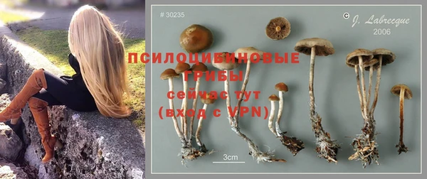 соль курить ск Алексин